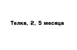 Телка, 2, 5 месяца